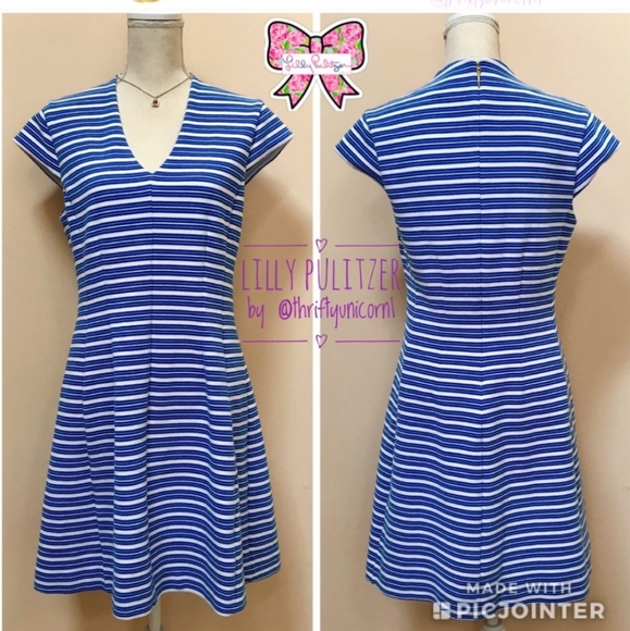 Lilly Pulitzer Bree Fit & Flare Dress ~ L - Picture 6 of 6